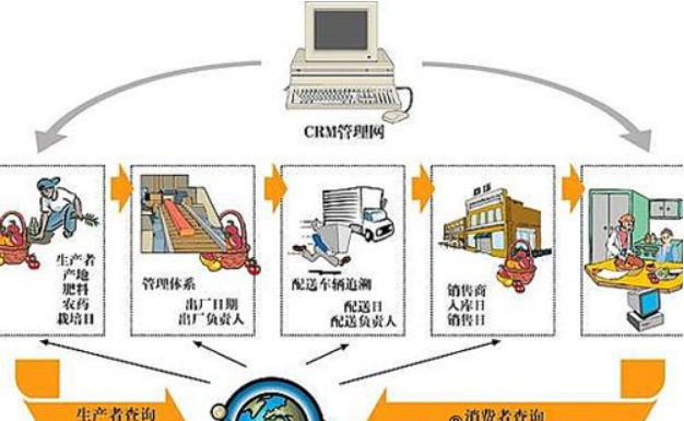 食品追溯的常用方法与信息技术咨询服务的作用